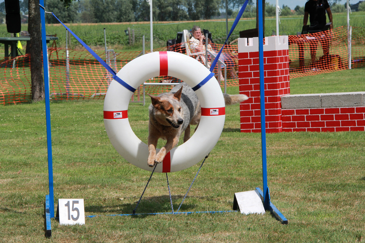 Agility