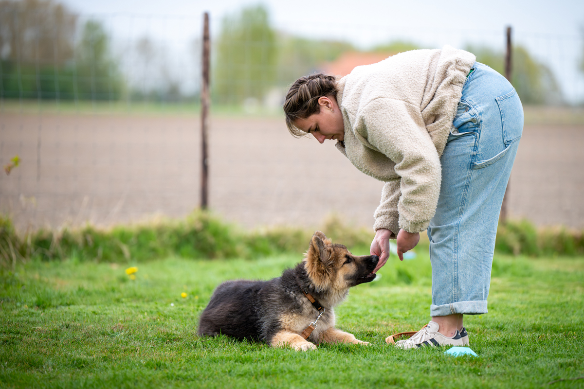 Puppyspeeltuin